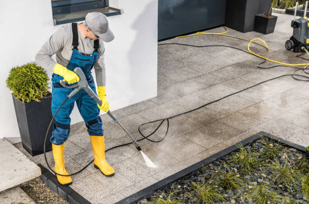 Best Local Pressure Washing Services  in Boyceville, WI